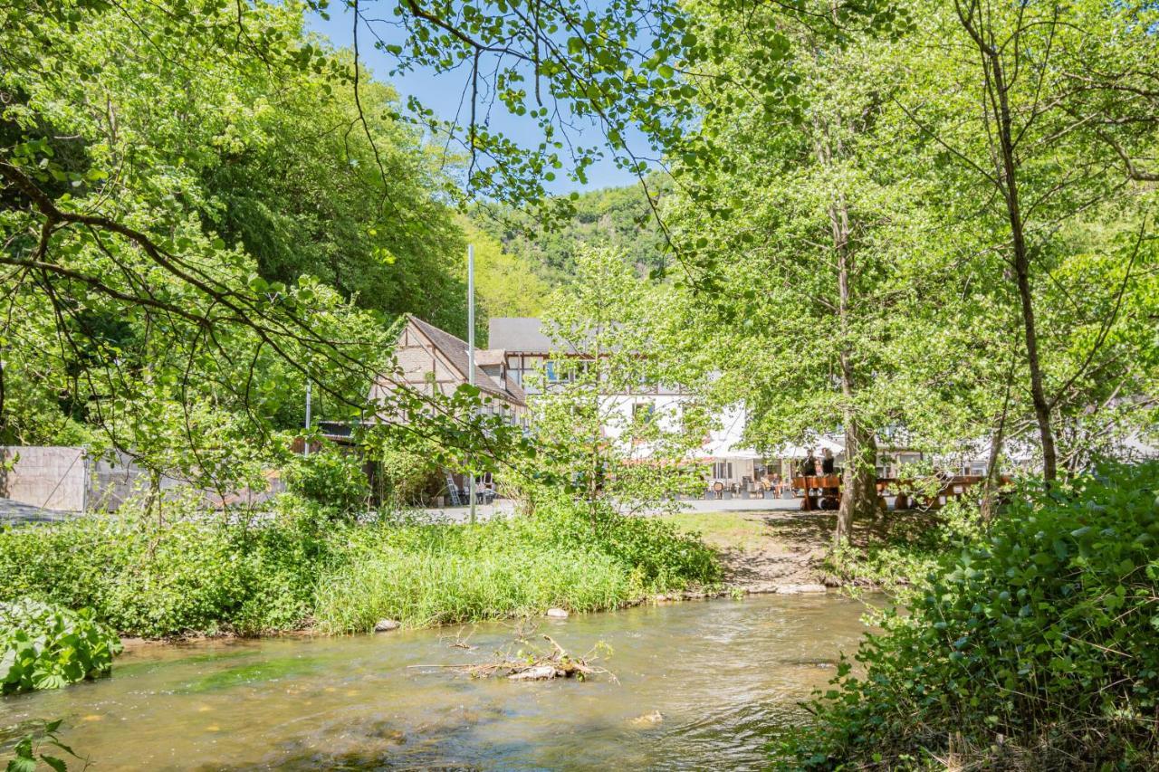 Landhotel Ringelsteiner Muehle Moselkern Kültér fotó