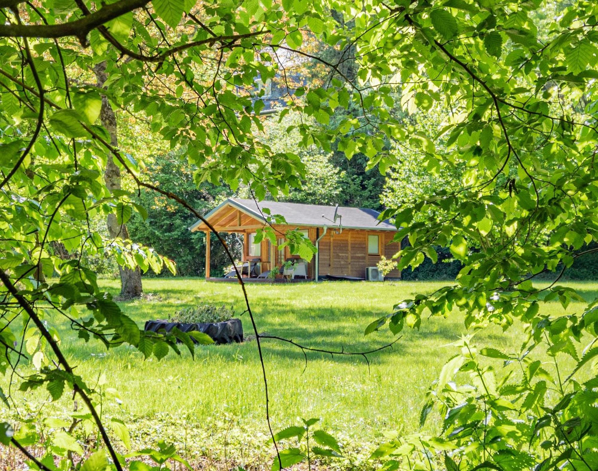Landhotel Ringelsteiner Muehle Moselkern Kültér fotó