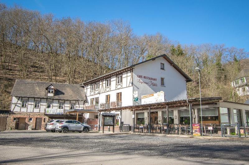 Landhotel Ringelsteiner Muehle Moselkern Kültér fotó
